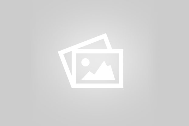 انواع جرثقیل